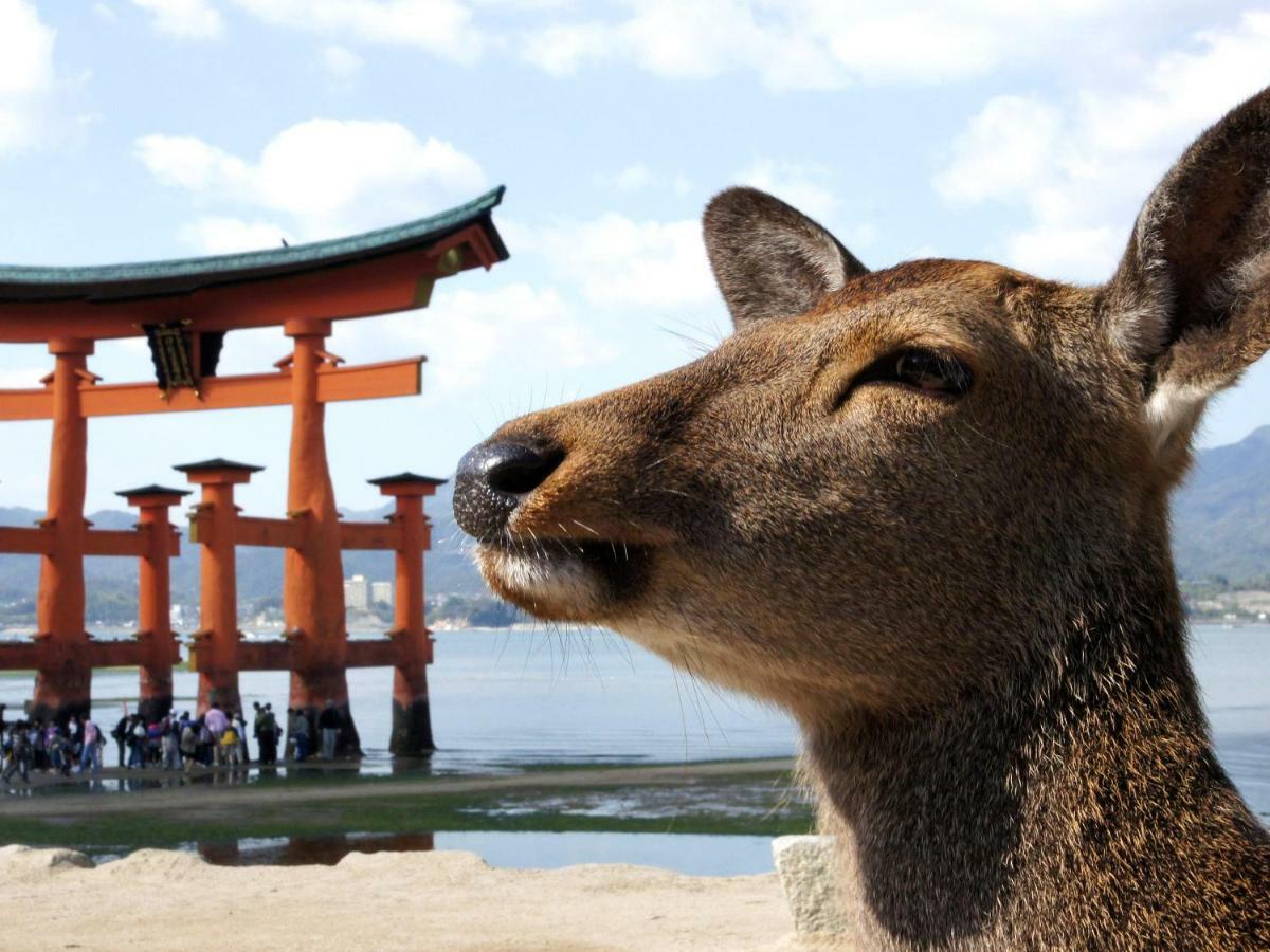 Global Resort Miyajima View Хацукаити Экстерьер фото